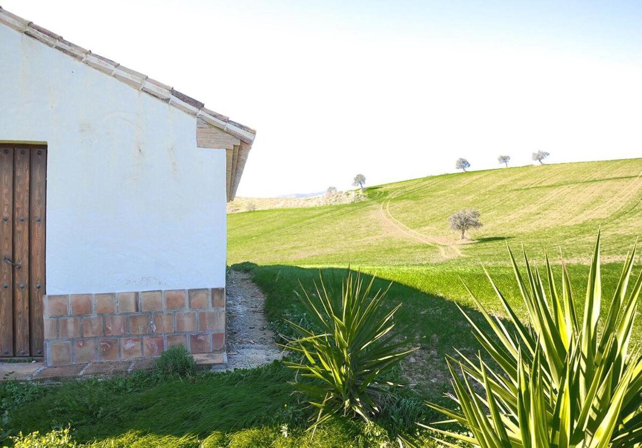 Cortijo Las Caballerias Alora Ngoại thất bức ảnh