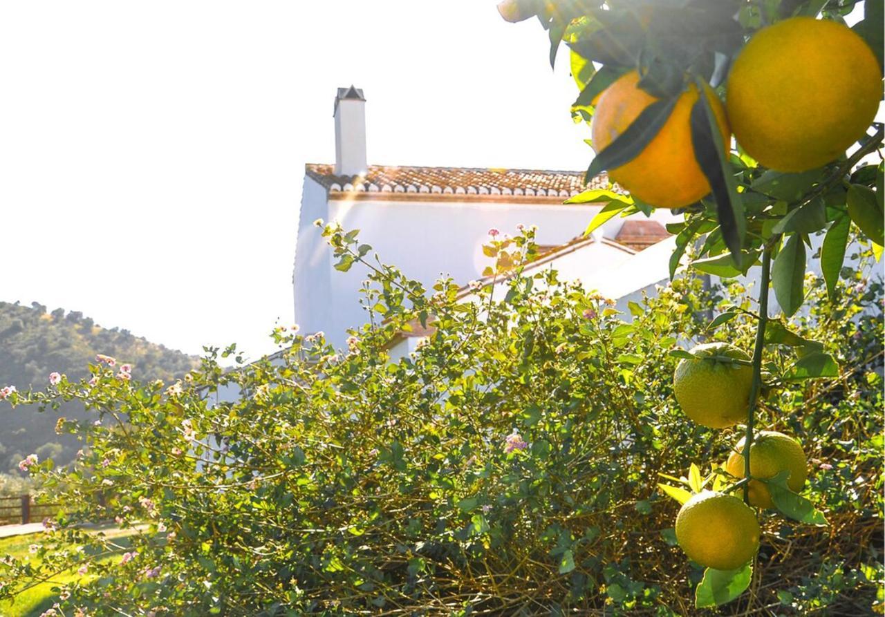 Cortijo Las Caballerias Alora Ngoại thất bức ảnh