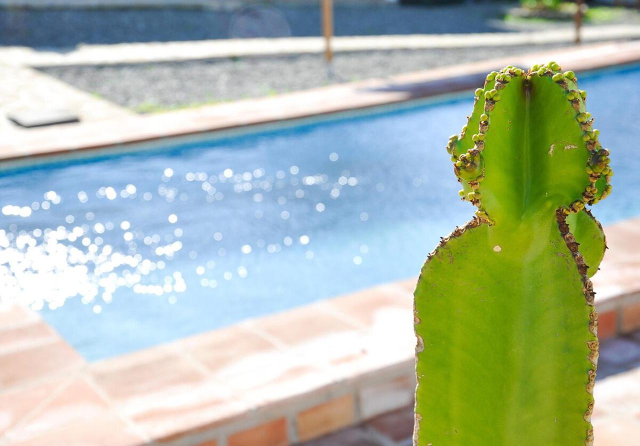 Cortijo Las Caballerias Alora Ngoại thất bức ảnh